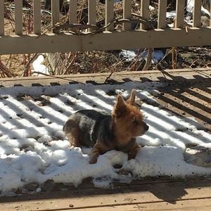 Meet your Posher, Darcia